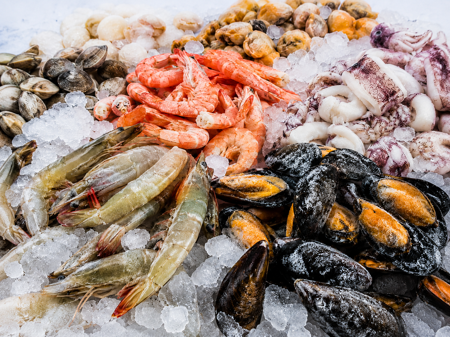 Pescados y Mariscos